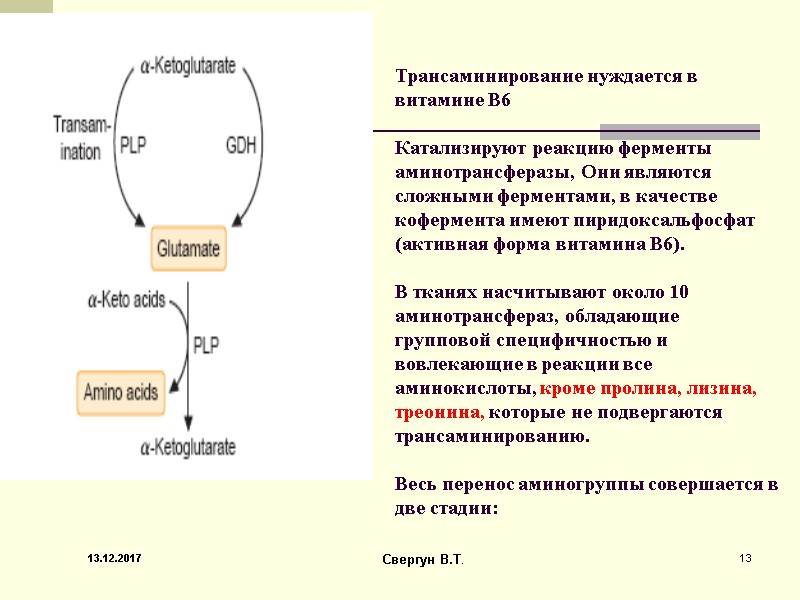 Трансаминирование нуждается в витамине В6    Катализируют реакцию ферменты аминотрансферазы, Они являются